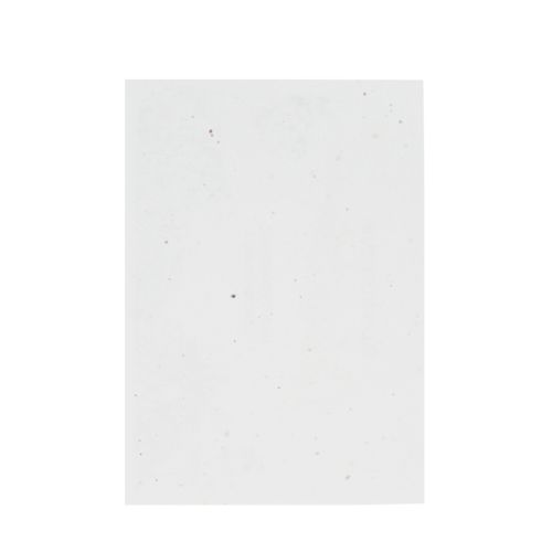 Seedpaper unprinted A5 | 200 gsm - Image 2